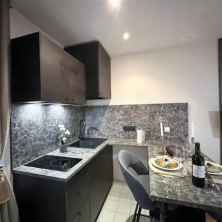 Peaceful Studio In Paris Apartment Paris